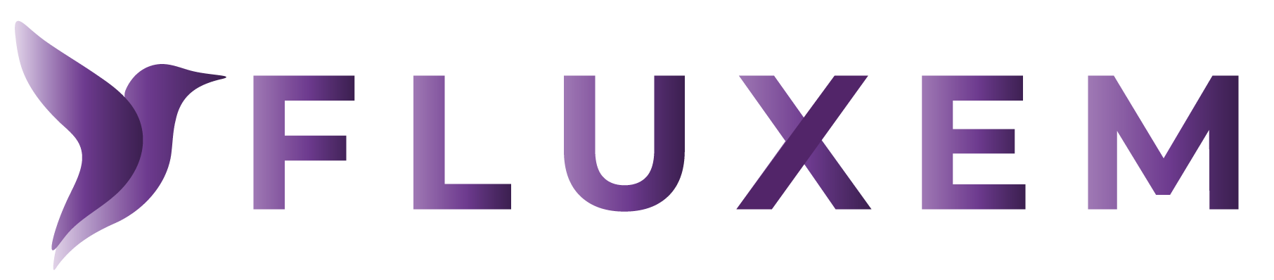 Fluxem - Ideas en movimiento